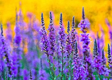 《穿越火线X》问题正在修复中 预计三月初发布更新